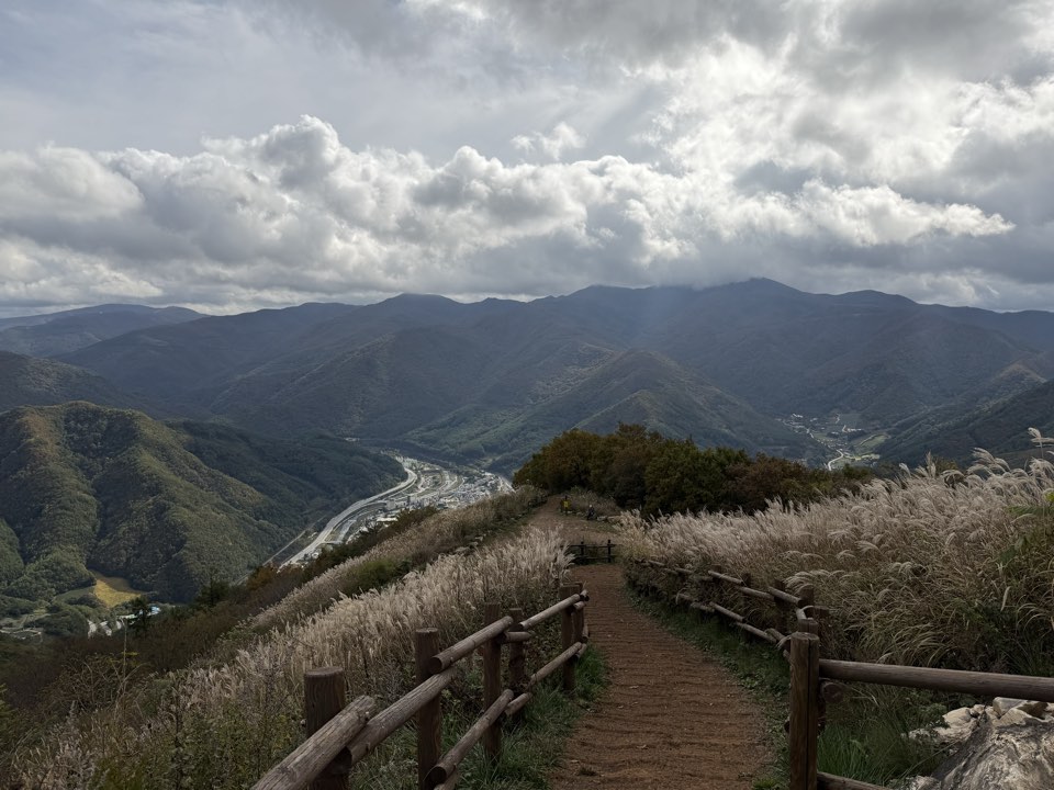 억새 능선
